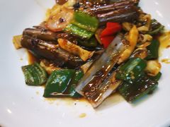 -顺德了能馆(虎门店)