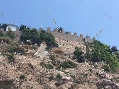 -海驴岛(荣成市)