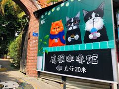 门面-有猫主题·治愈系猫咖(曾厝垵店)