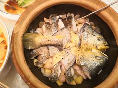 -人间采蜜(海信广场店)