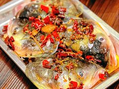 -顺德南宏海立方海洋公园