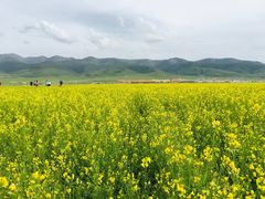 -青海湖国家重点风景名胜区