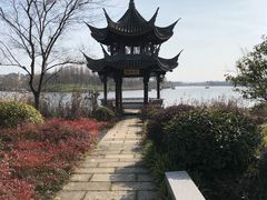 -杭州湾海上花田景区