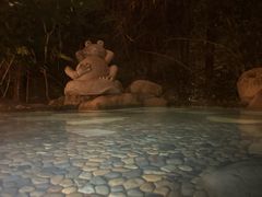 -天目湖涵田半山温泉