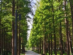 -昆山城市生态森林公园