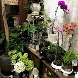 北京新店📍误入霍格莫德村面包房