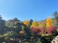 -香山公园