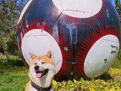 -瀛海足球主题公园