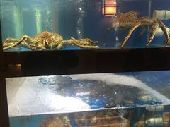 水产区-皇品田苑日式料理(苏州中心店)
