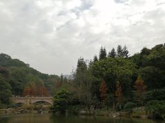 -云溪植物园