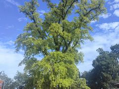 -金堂县云顶石城风景区