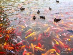 -泰安地下龙宫景区