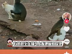 -昆明动物园
