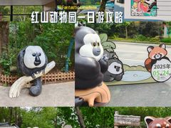 -客栈猫舍(中央北路店)