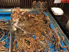 -蟹将军·松叶蟹和牛日料放题自助(K11店)
