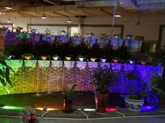 -红栌温泉山庄生态美食餐厅