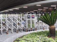 -上海市徐汇区口腔医院