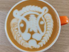 -SAFARI COFFEE