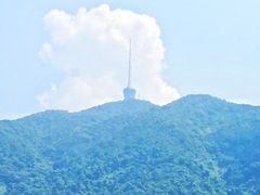 -深圳仙湖植物园-停车场