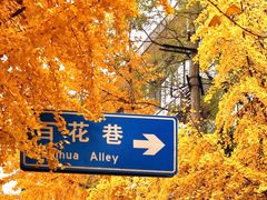 -青羊宫