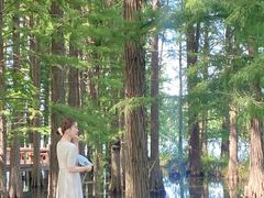 -东湖落雁景区