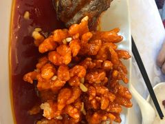 -金蝉食府(维吉奥广场店)