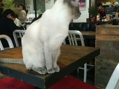 -MIKAKU(万达广场上海宝山店)