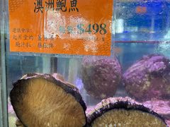 -好彩海鲜火锅饭店(银河百老汇店)