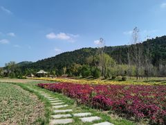 -玉华宫景区
