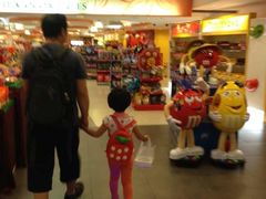 -新加坡瑞士史丹福酒店