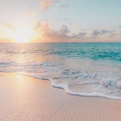 -薇兰专业脱毛连锁机构