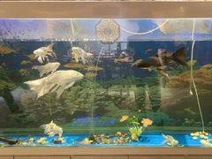 -食悦江南·淮扬菜·烤鸭(亚运村·惠新店)