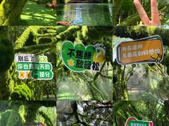 -东南花都花博园