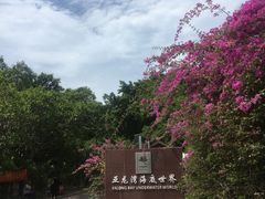 -亚龙湾海底世界