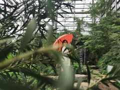 -南山植物园