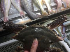 -沈家门海鲜夜排档(东港店)