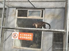 -保定市动物园
