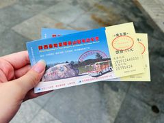 -秦始皇帝陵博物院-丽山园