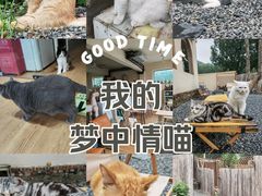 -小时光咖啡馆(开森度假森林店)