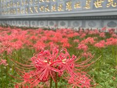 -西安大兴善寺