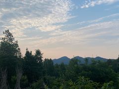 -绿色菜园(贤山店)