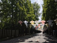 -日照海滨国家森林公园