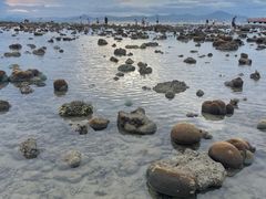 -三亚游船旅游中心(三亚鹿回头游艇游船公共码头店)