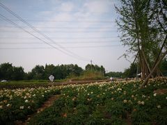 -桤木河湿地公园