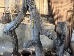 -西双版纳原始森林公园