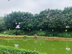 -广州长隆飞鸟乐园
