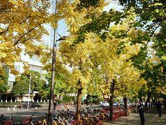 -四川大学(望江校区)