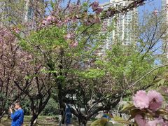 -苏州河梦清园环保主题公园