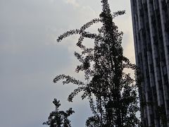 -升仙湖公园
