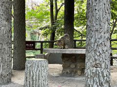 -崂山九水游览区